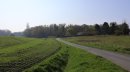 Les Mathes entre Chêne et Breuil